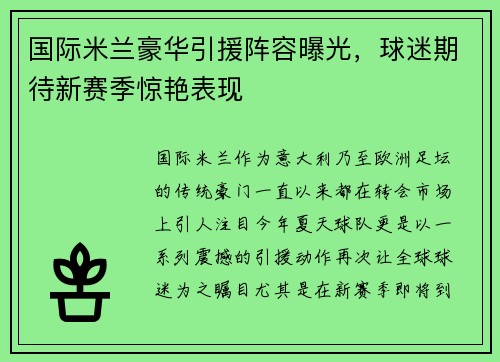 国际米兰豪华引援阵容曝光，球迷期待新赛季惊艳表现