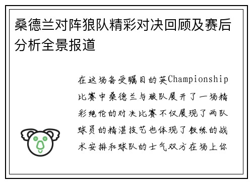 桑德兰对阵狼队精彩对决回顾及赛后分析全景报道