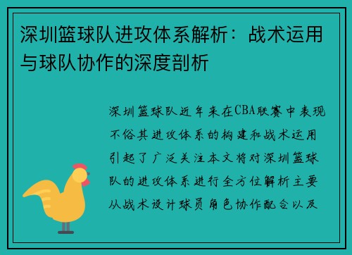 深圳篮球队进攻体系解析：战术运用与球队协作的深度剖析